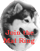 Malamute Ring
Homepage