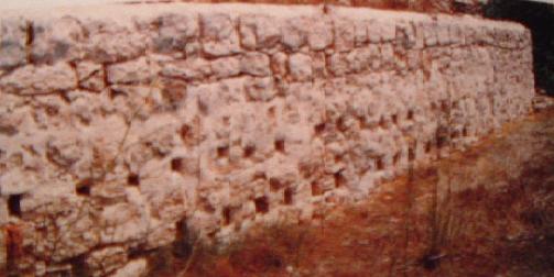 Migbha tan-nahal kif tidher minn barra