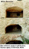 pht-punic apaiary2.jpg (83018 bytes)