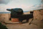 cannon_t.jpg (4219 bytes)