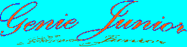 Genie Junior
