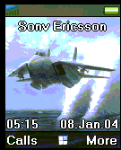 tomcat1