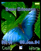 butterfly1