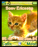 cats1
