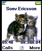 cats2