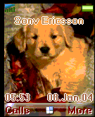 dog1