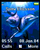 dolphins1