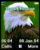 eagle1