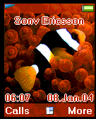 fish1
