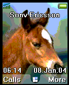 horse1