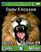 lion1