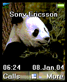 panda1