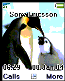 penguins1