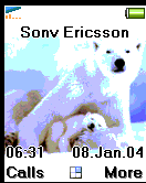 polarbears1