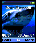 shark1