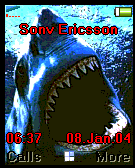 shark2