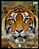 tiger2