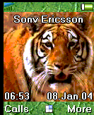 tiger3