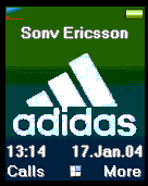 adidas1