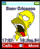 simpsonshomer1
