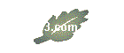 mp3.com CD