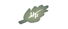 Up