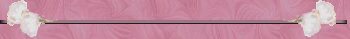 mothbar.jpg (3573 bytes)