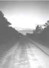 bw2.jpg (31939 bytes)