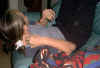 upsidedown.jpg (33176 bytes)