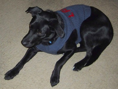 Lady in her new sweater