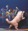 click here for art gallery