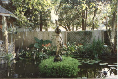 Rebecca Fountain