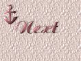 Next Page