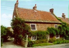 Do you know how many times thye have replaced my roof because of those Twins? I hope they move out and start that joke shop soon!