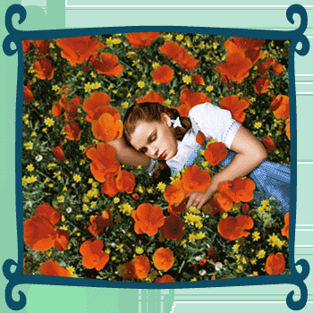 Lovin' Opioid Pain Relief - like Judy Garland! Zzzzz