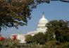 Picture of U.S. Capitol Building