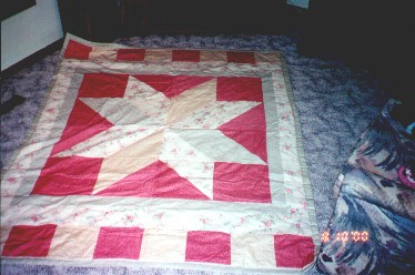 Pastel Star Quilt