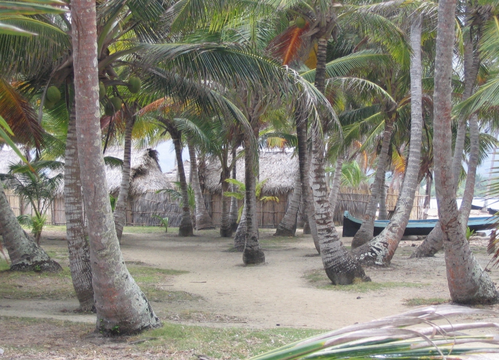 Caba&ntilde;as Waica
