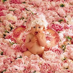 Flower Baby
