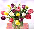 Tulips Bouquet