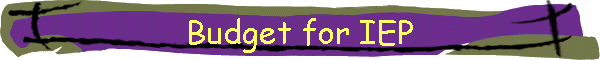 Budget for IEP