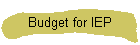 Budget for IEP