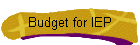 Budget for IEP