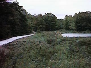Looking from the digging toward the road