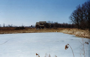 House and pond