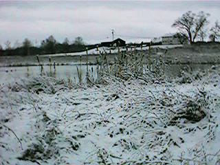 The pond in winter