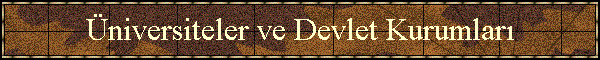 �niversiteler ve Devlet Kurumlar�