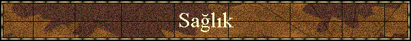 Sa�l�k