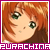 Purachina Fan