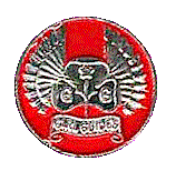old style Guide\Ranger Link Badge